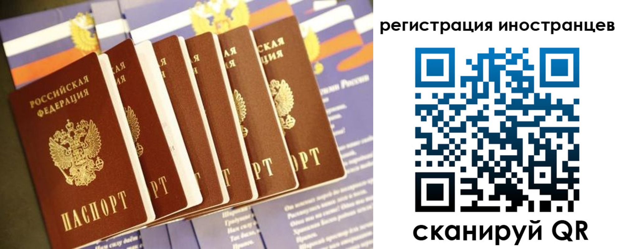 прописка в Талице